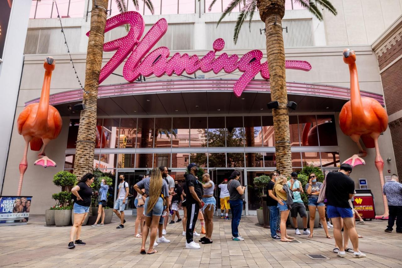 Charming Unit By Flamingo Casino Strip Vegas * Las Vegas